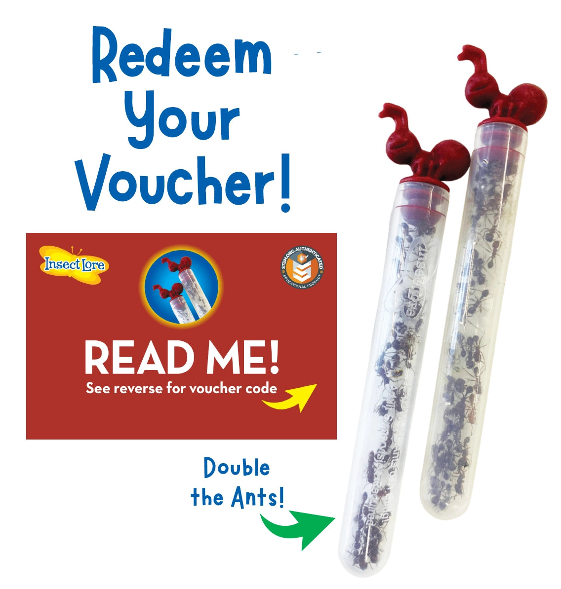 Ant Hill with Voucher