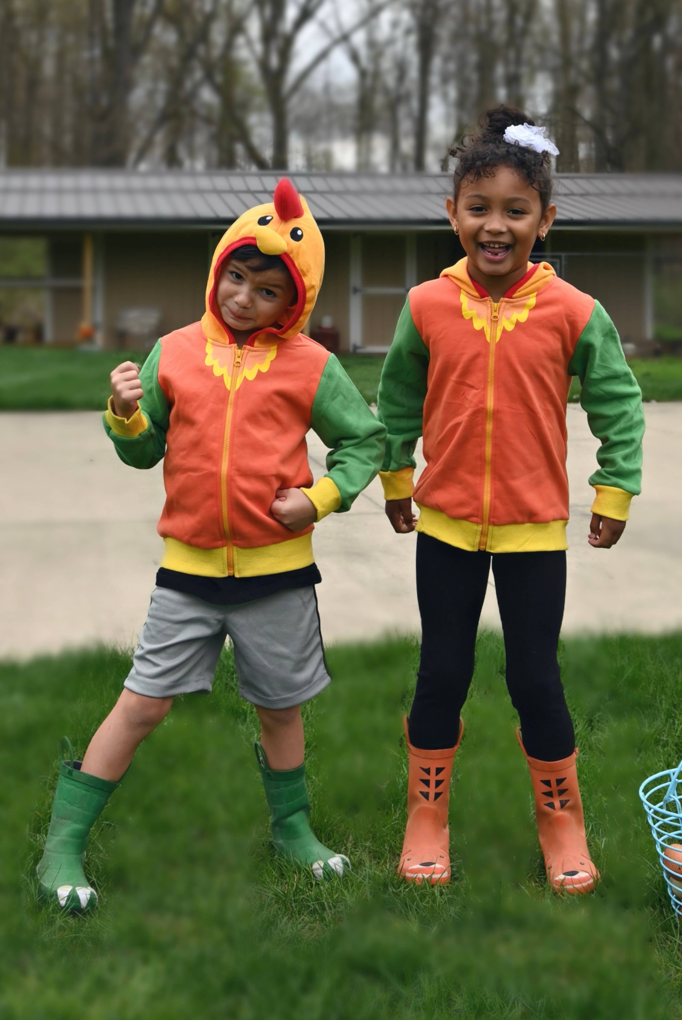 Rocket the Rooster 3D Hoodie