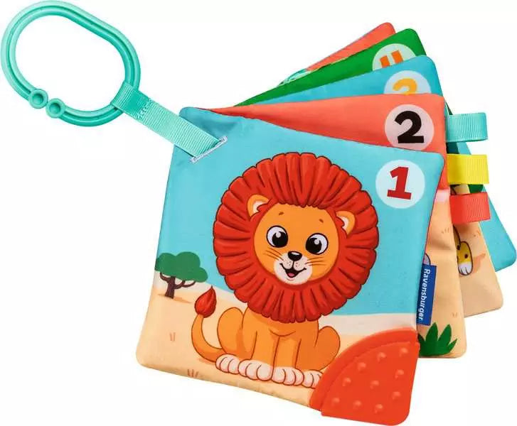 My First Book: Number & Colors