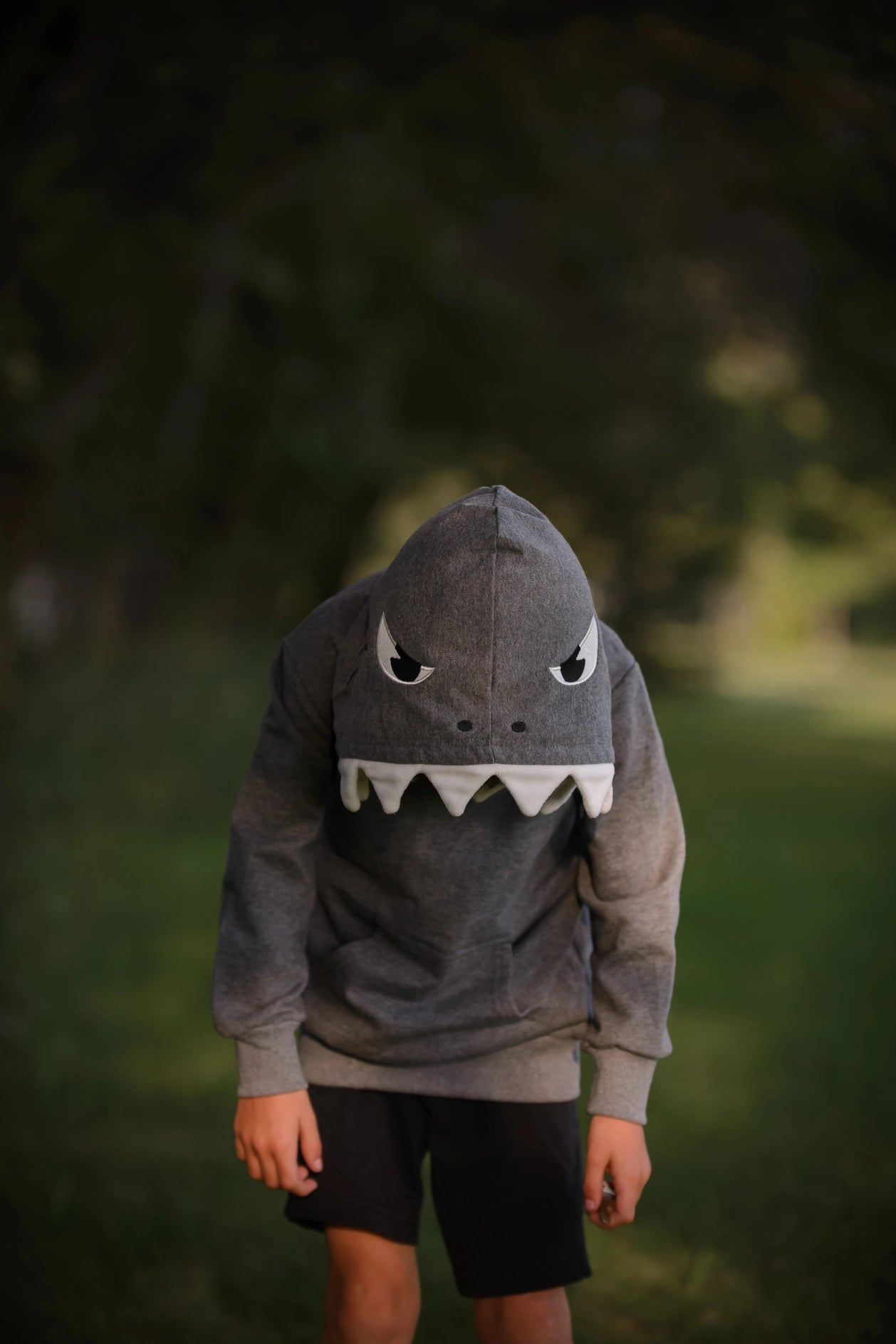 Shark 3D Hoodie