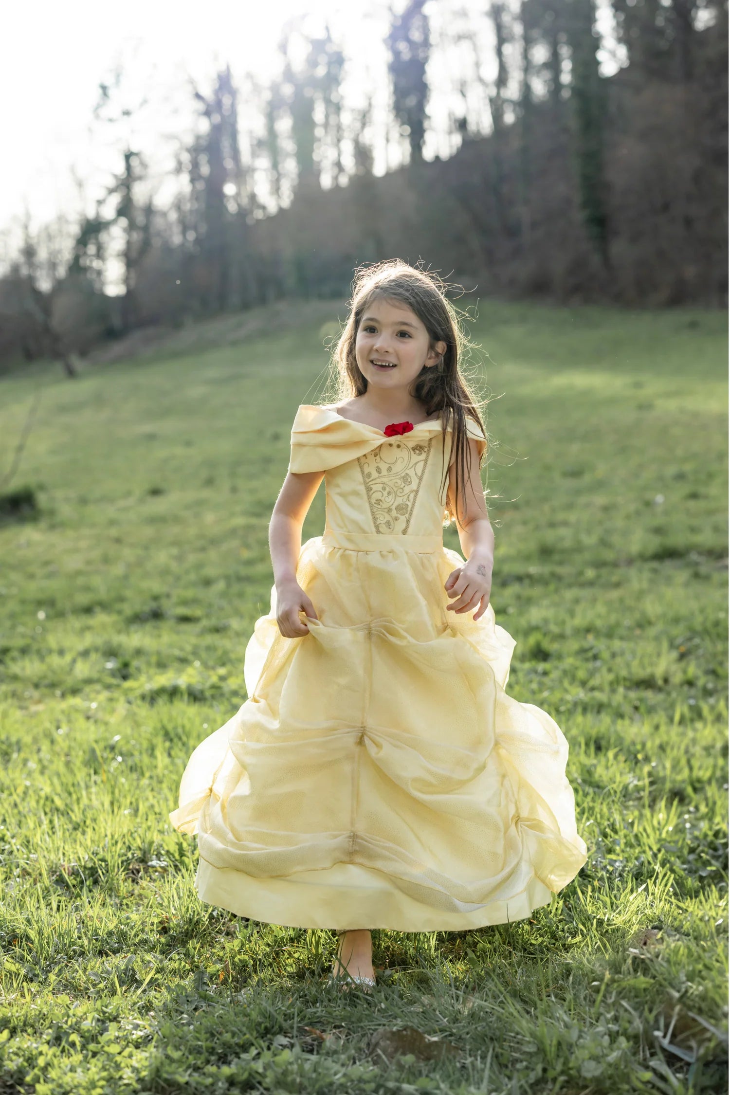 Once Upon a Princess Beauty Dress - Belle