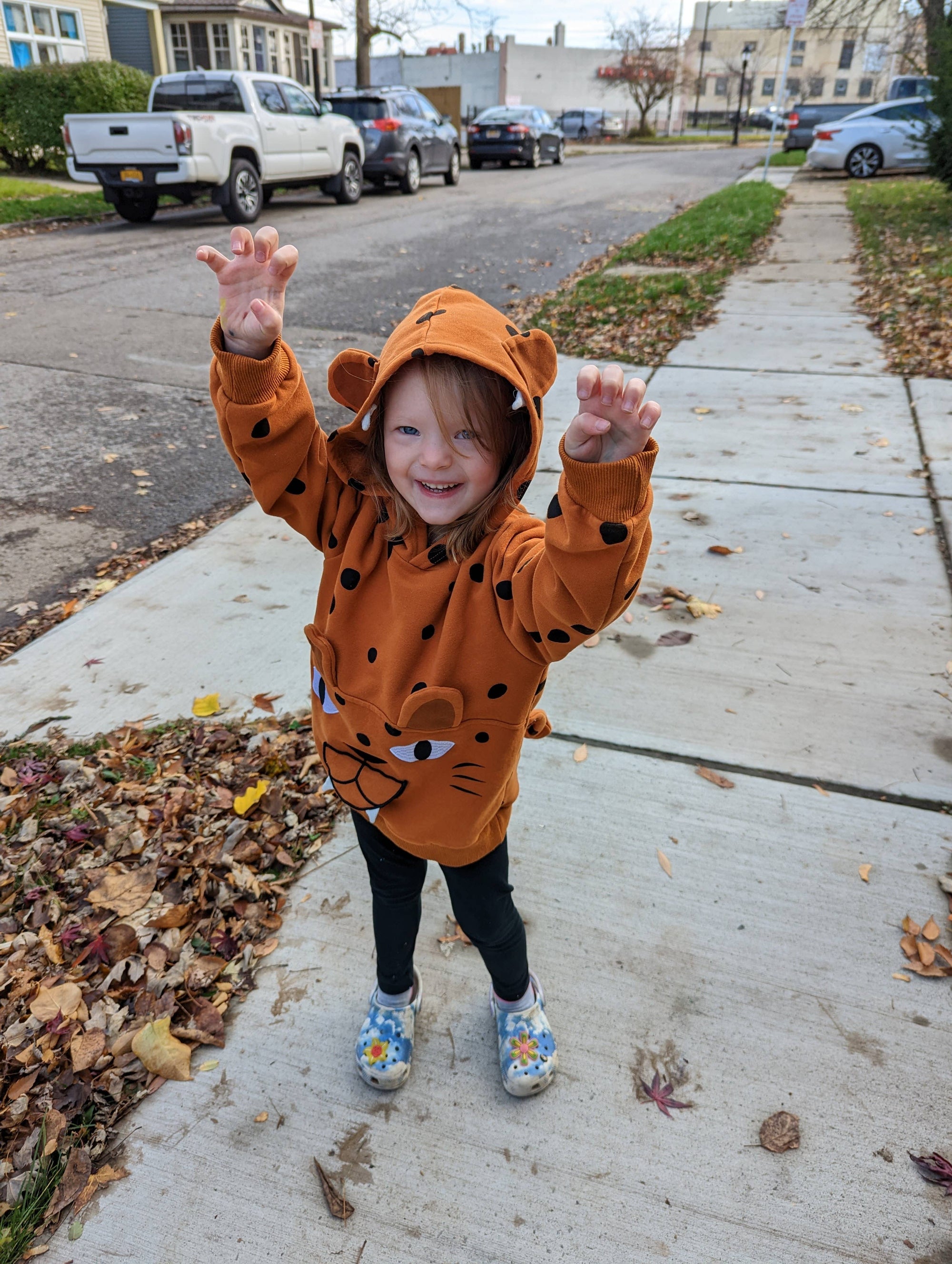 Happy Cheetah 3D Hoodie