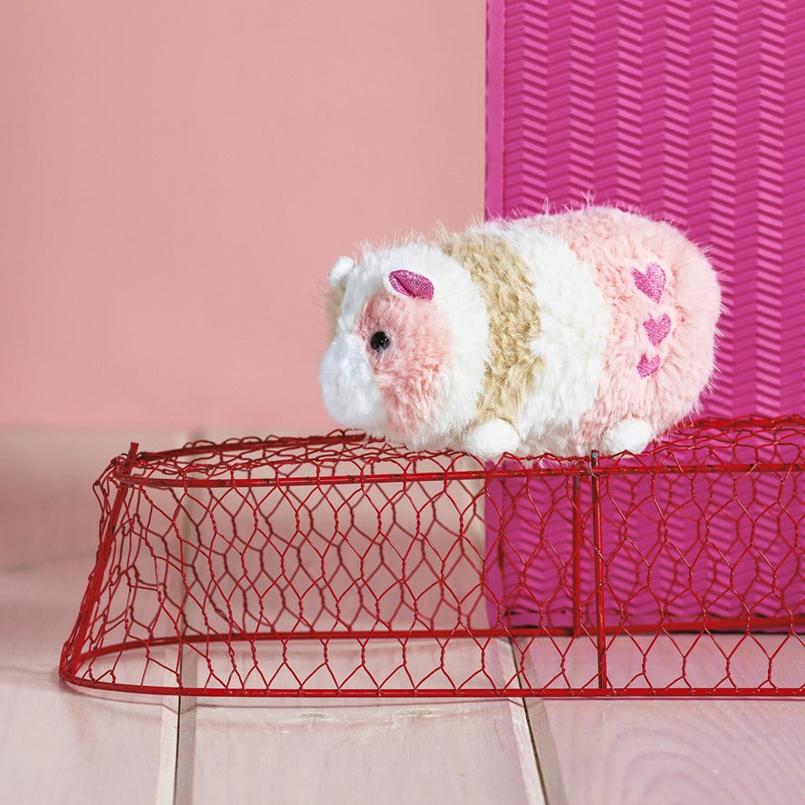 Pipsqueak Guinea Pig
