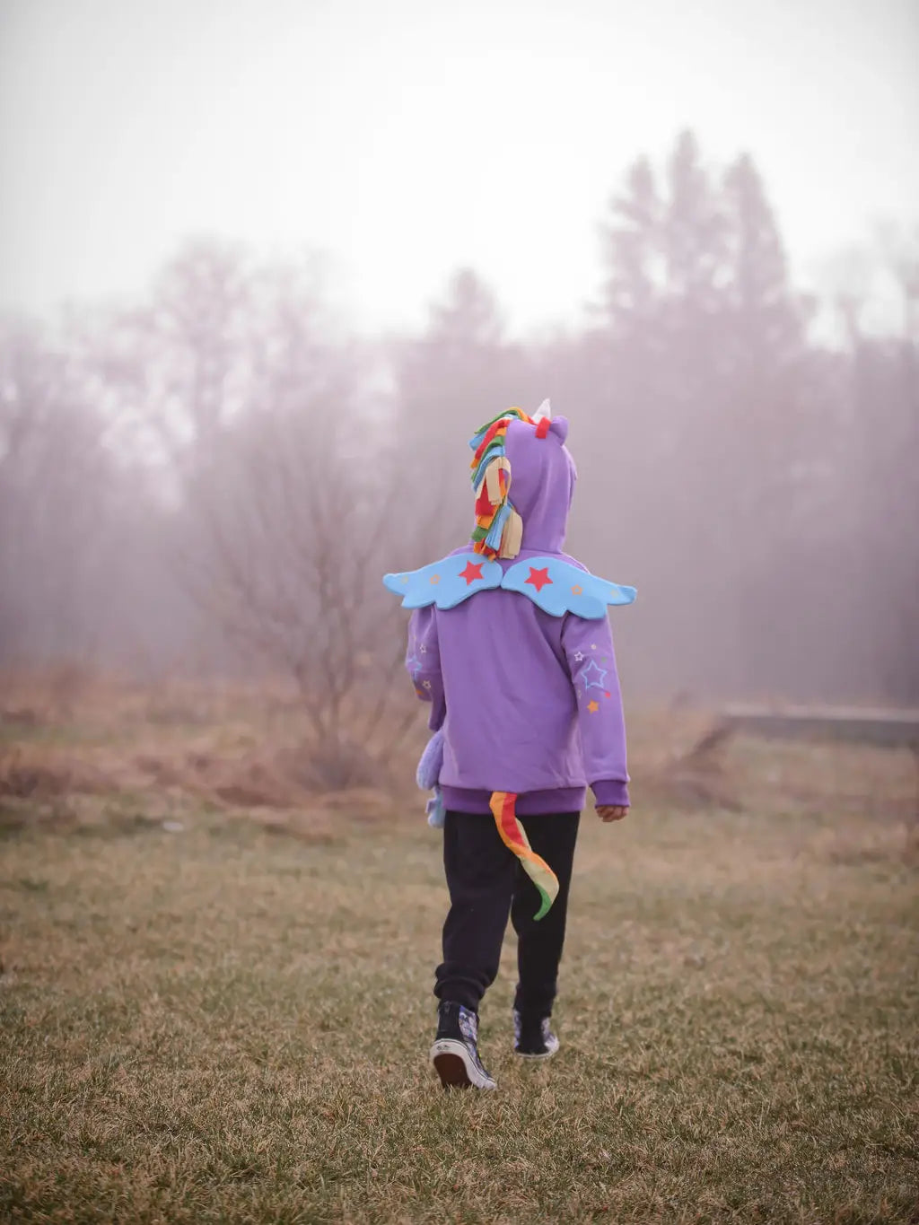 Purple Rainbow Unicorn 3D Toddler and Kids Hoodie