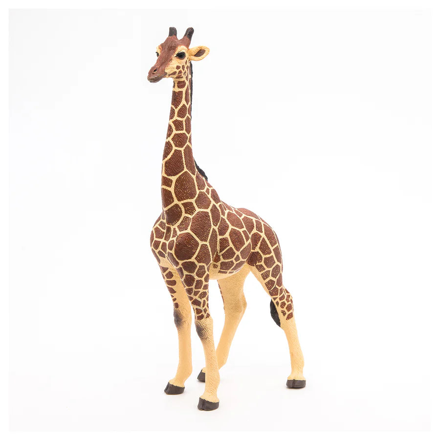 Papo - Giraffe Head Up