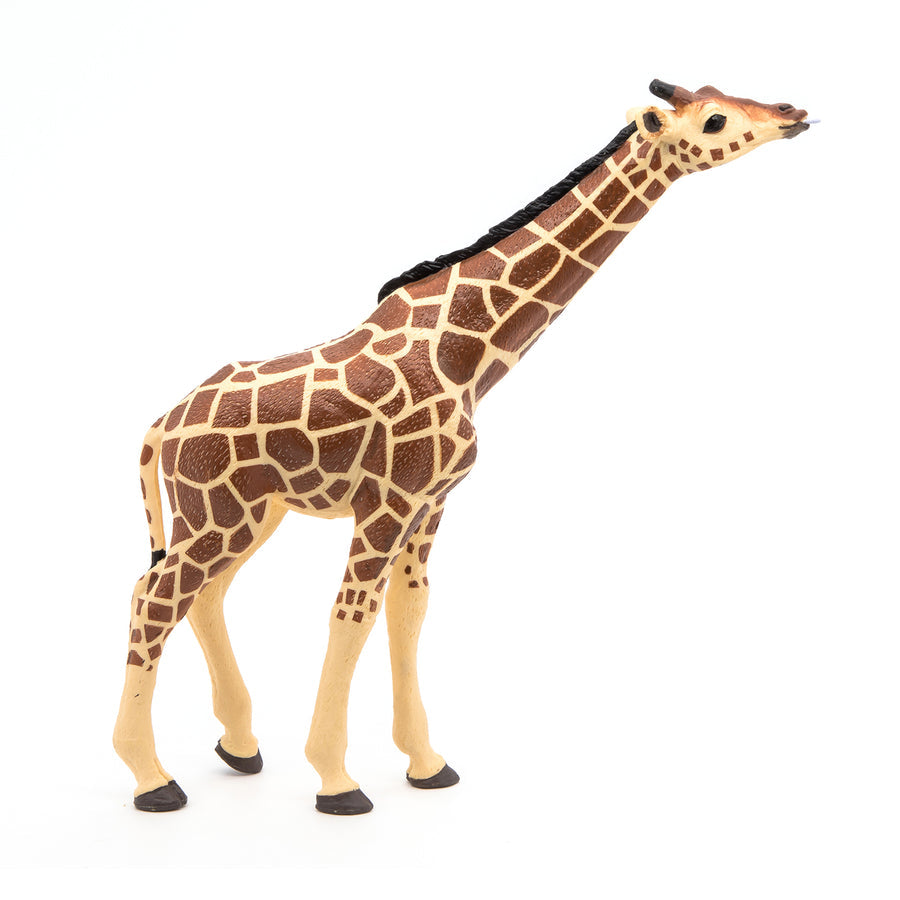 Papo - Giraffe Head Up