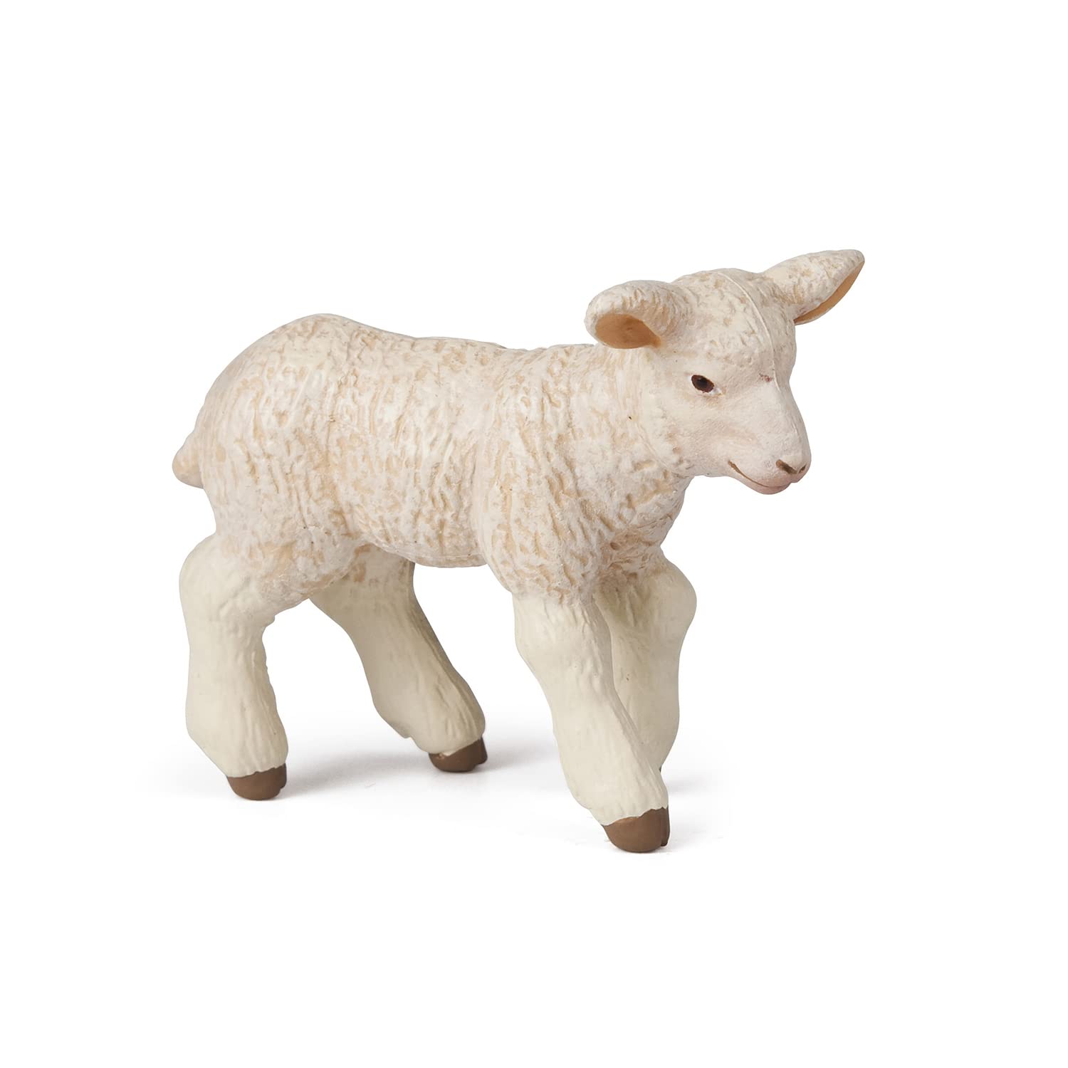 PAPO - Young Merinos Lamb