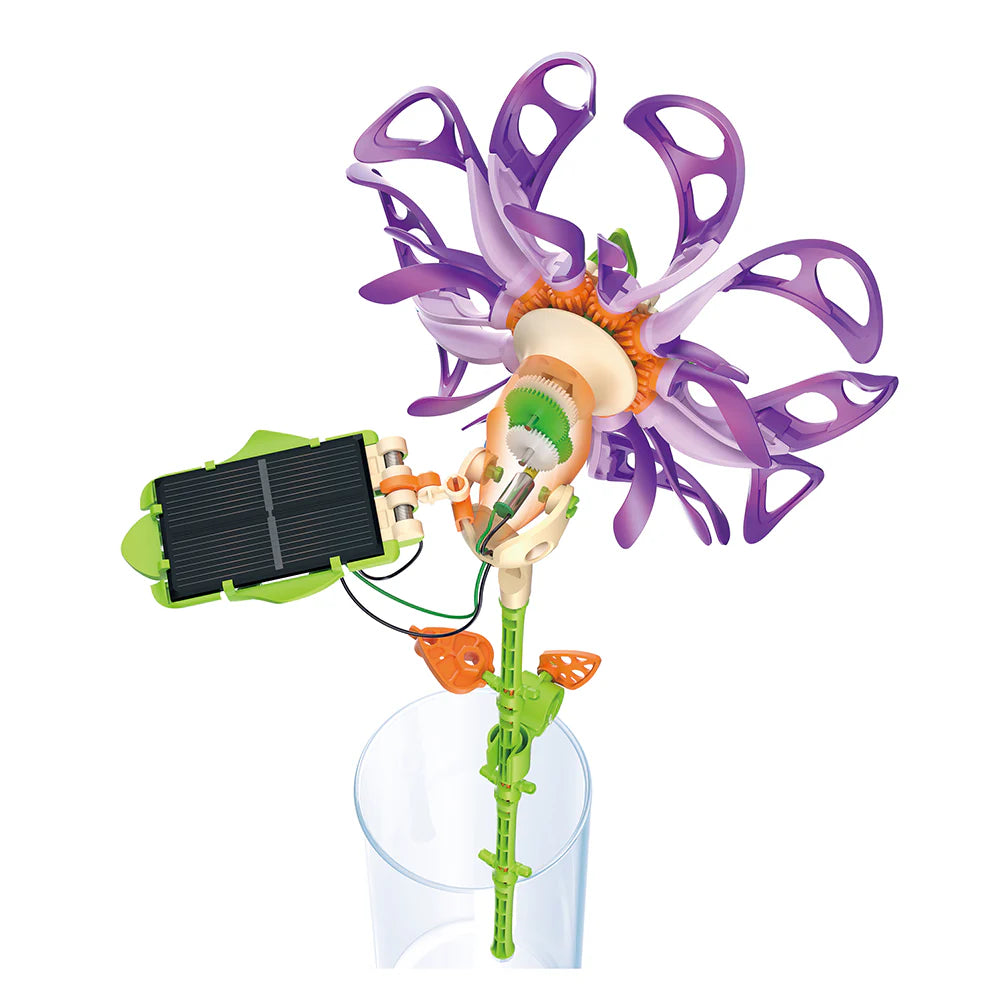 Solar Flower - Purple Majestic