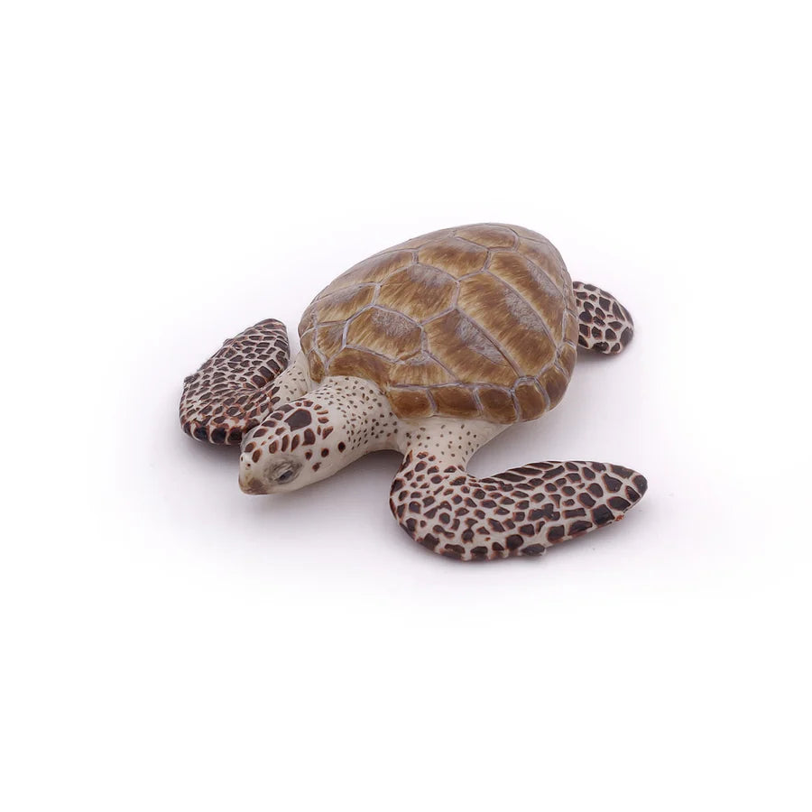 Papo - Loggerhead Turtle