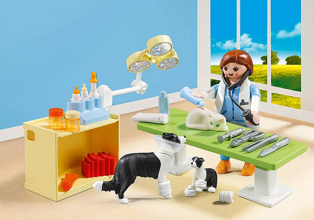 Playmobil Vet Visit Carry Case