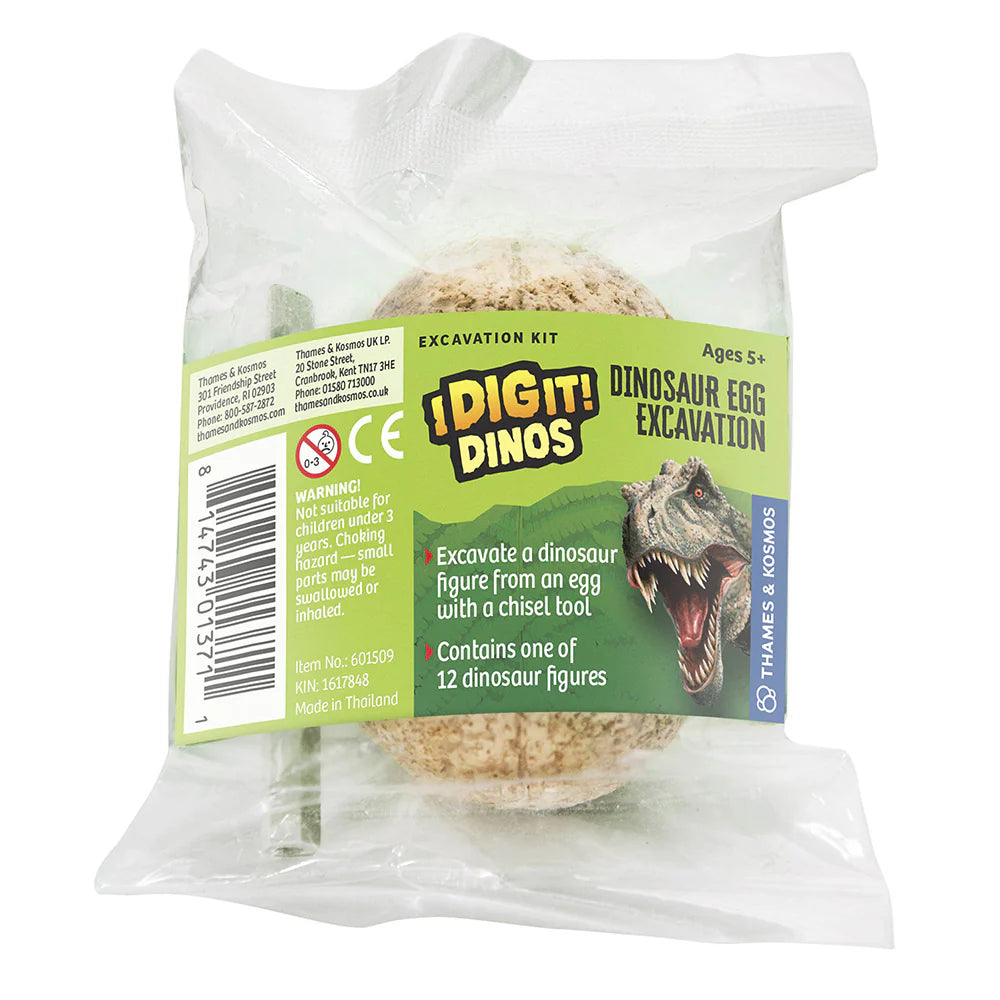 I Dig it Dinos! - Dino Egg
