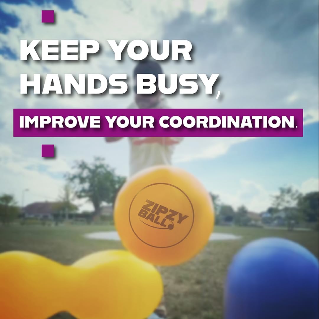 ZipzyBall Fidget