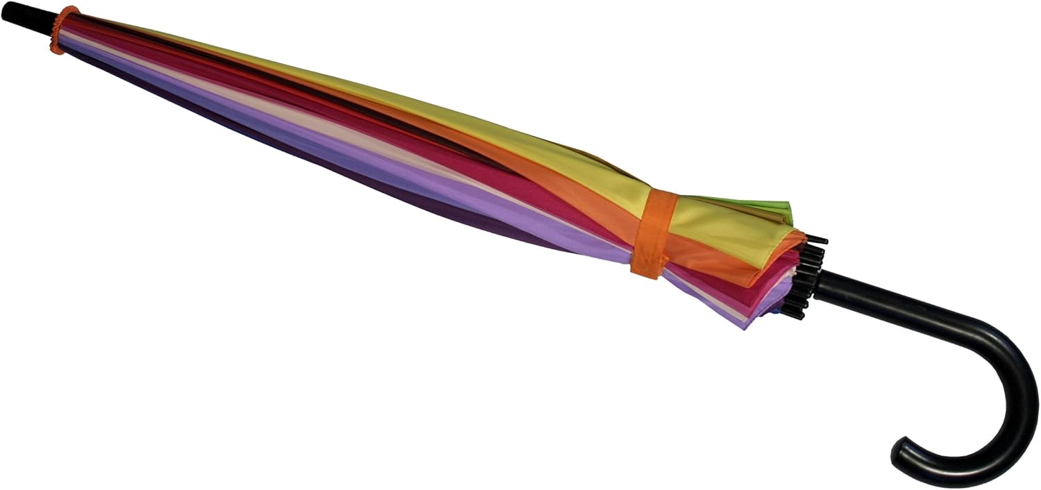 Rainbow Color Wheel Adult Umbrella