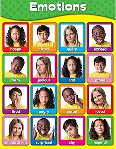 Emotions Chart CD114055