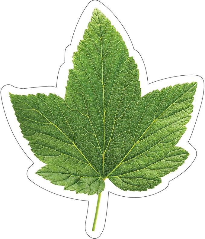 Woodland Whimsy Green Leaf Accents