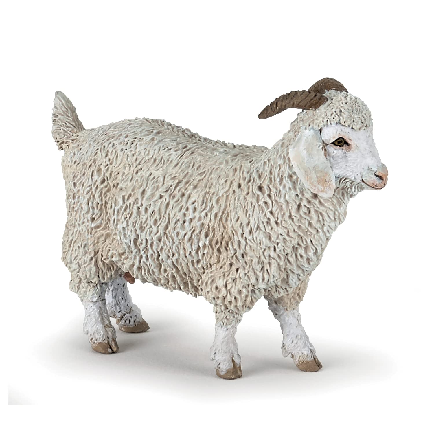 PAPO - Angora Goat