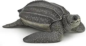 PAPO - Leatherback Turtle