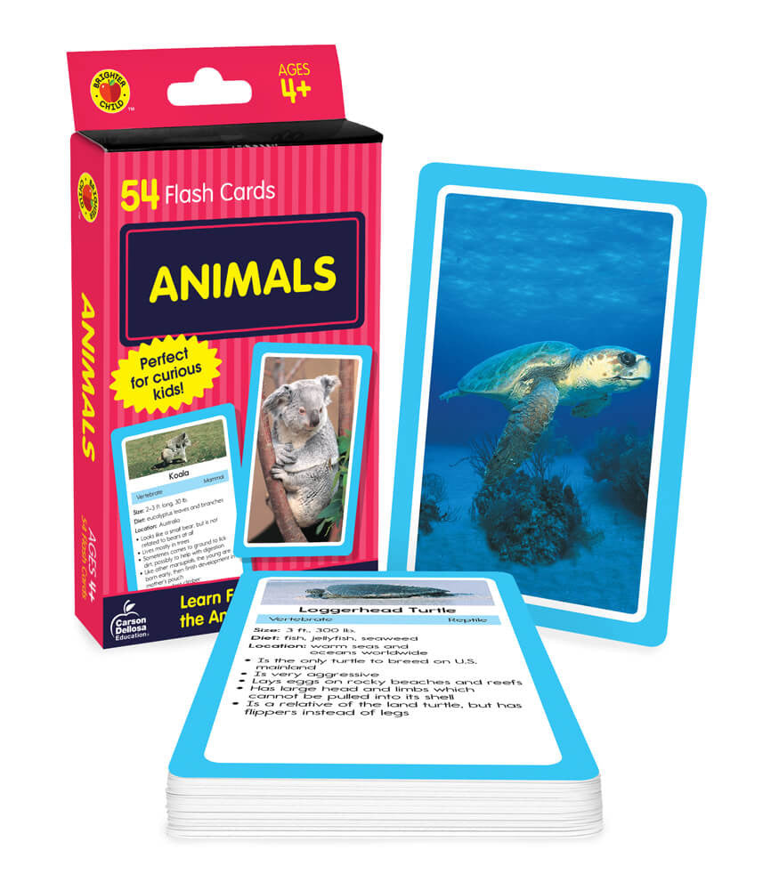 Animal Flash Cards Grade PK-3