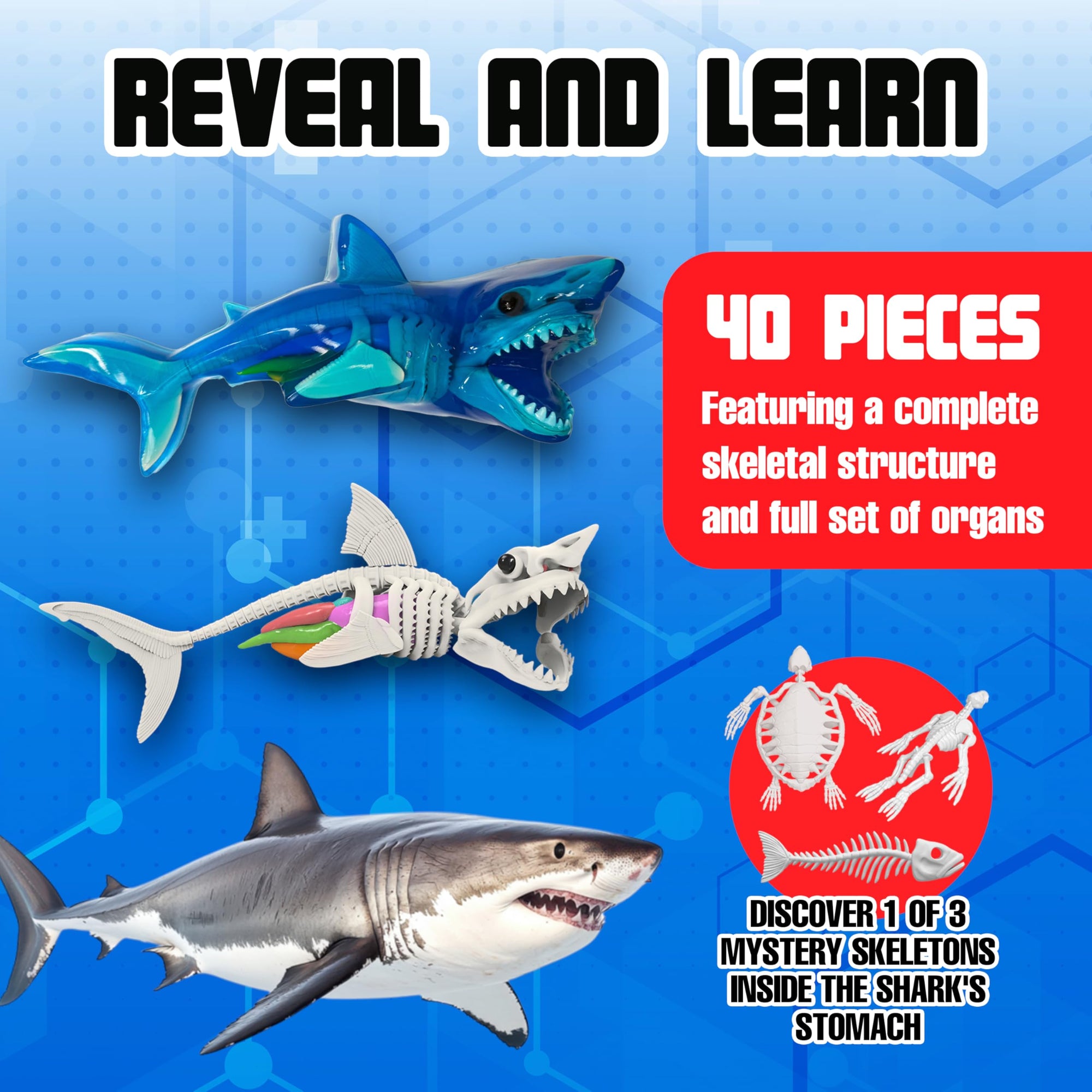 Dissect It Super Shark Lab