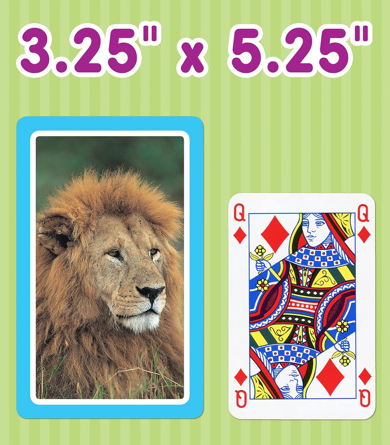 Carson Dellosa Animals Flash Cards