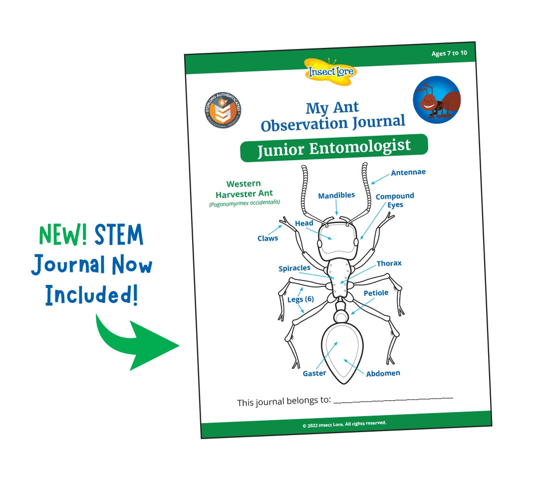 Ant Hill with Voucher