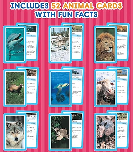 Carson Dellosa Animals Flash Cards