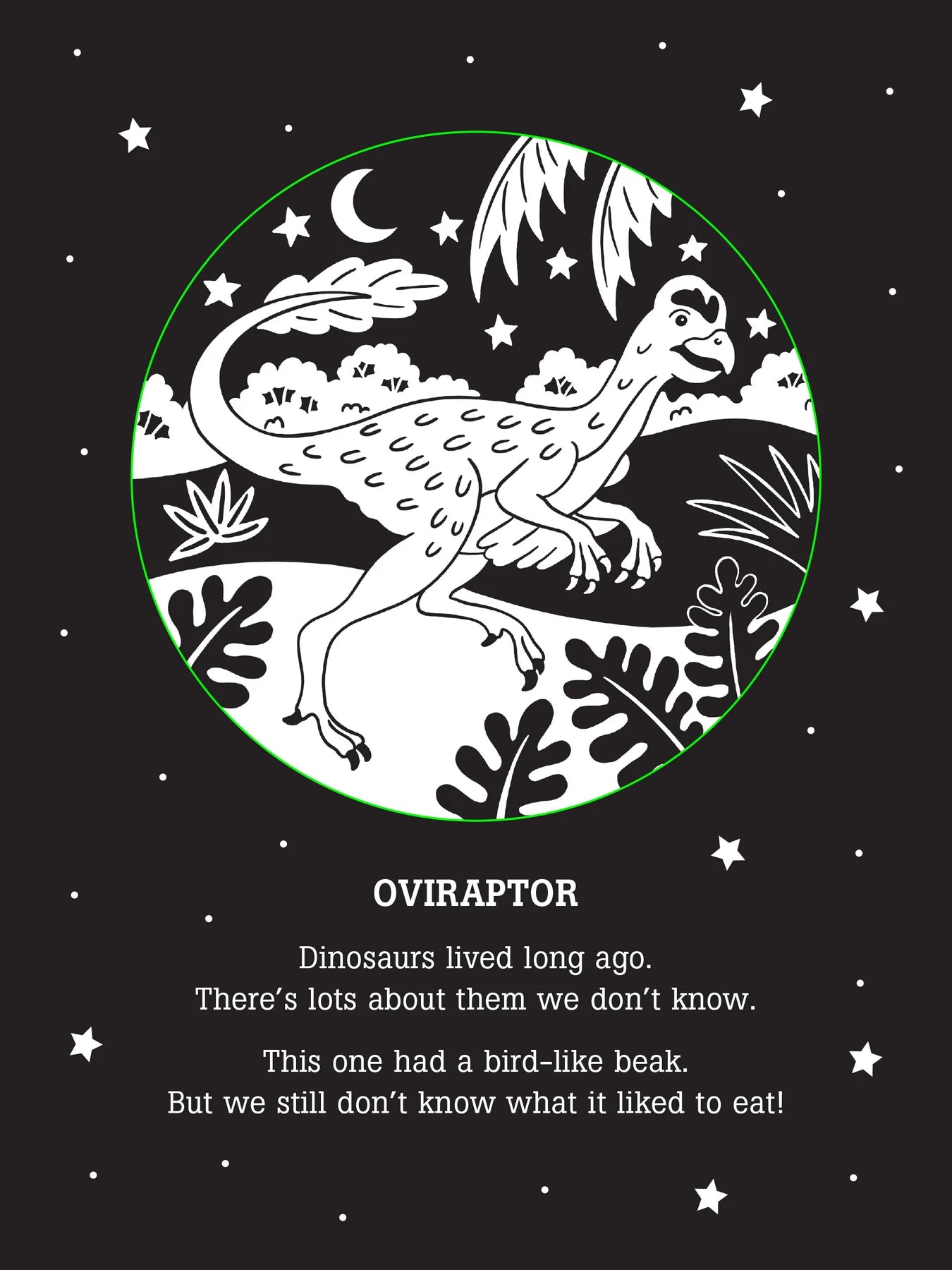 Dinos After Dark Bedtime Shadow Book