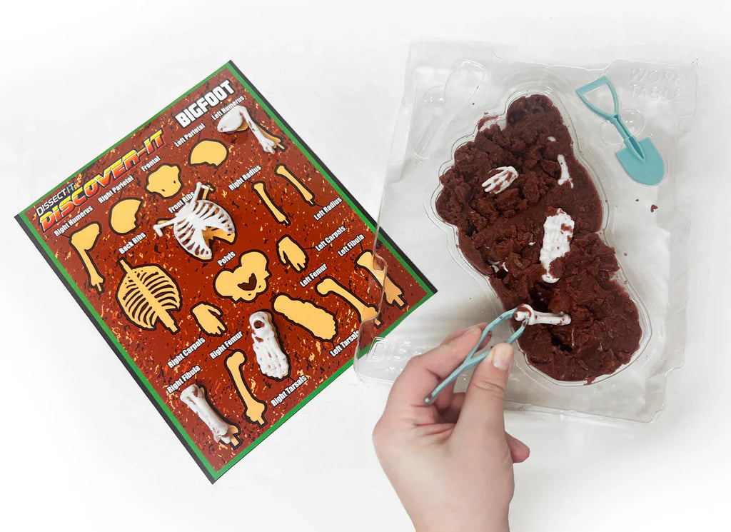 Dissect It Bigfoot Dig
