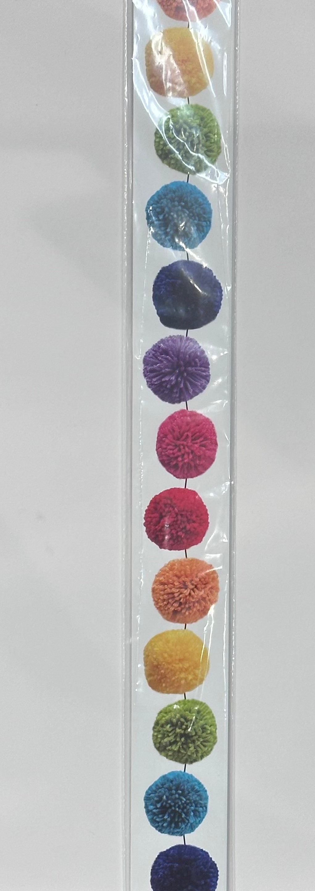 Sprinkle Kindness - Life of the Party Rainbow Pom Border by Schoolgirl Style