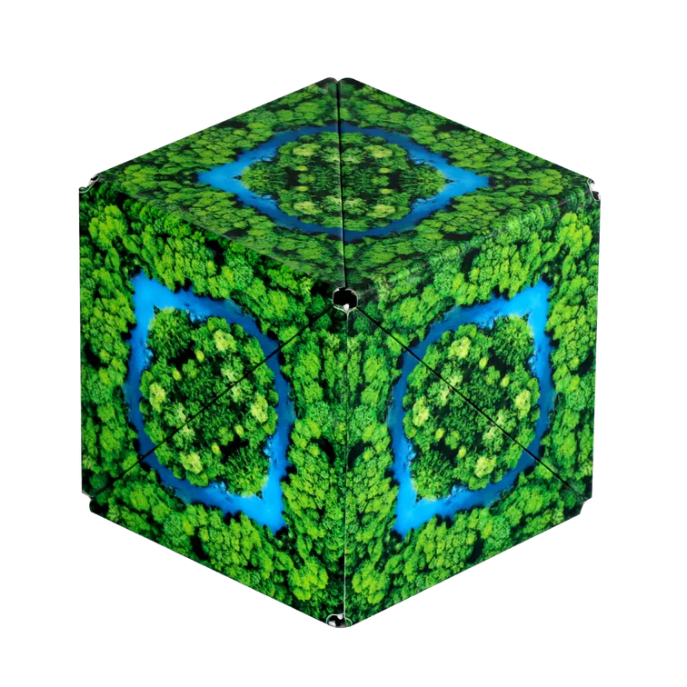 Shashibo Magnetic Puzzle