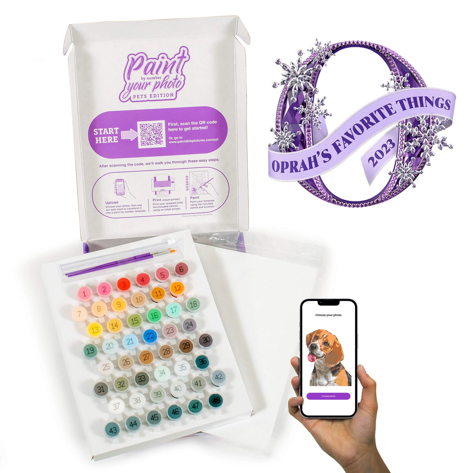 Paint Your Photo - Pets Edition