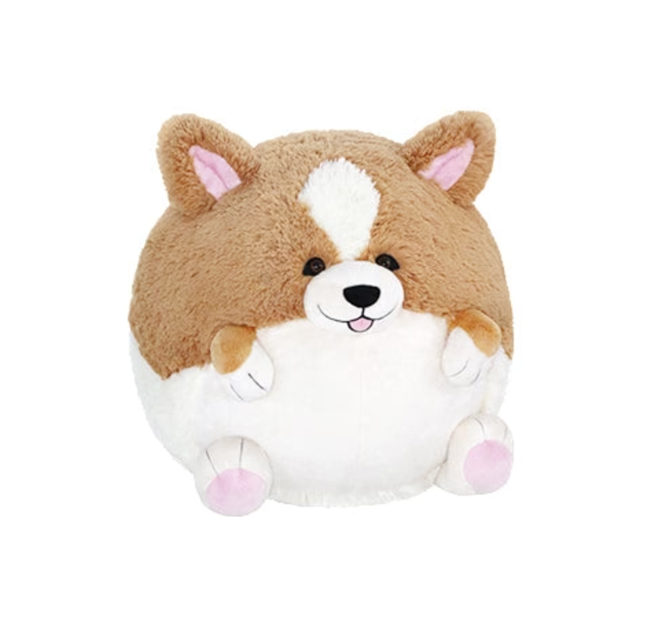 Corgi Squishable