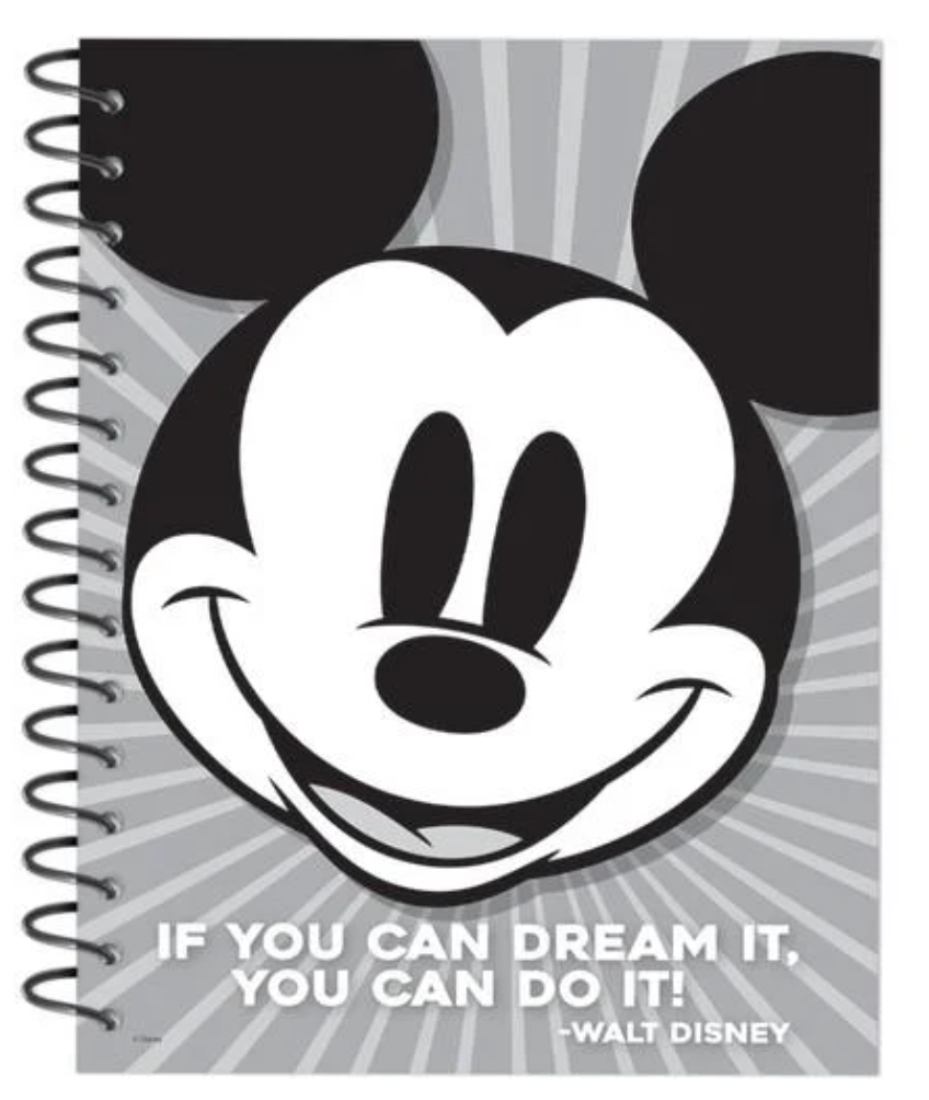 Mickey Mouse Throwback Lesson Plan & Record Book