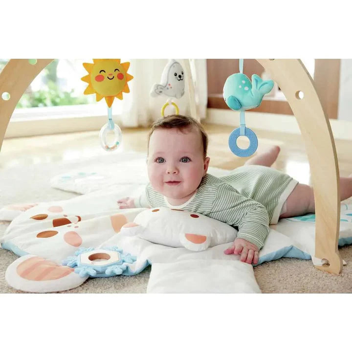 Hape Snuggle Bear Activity Gym