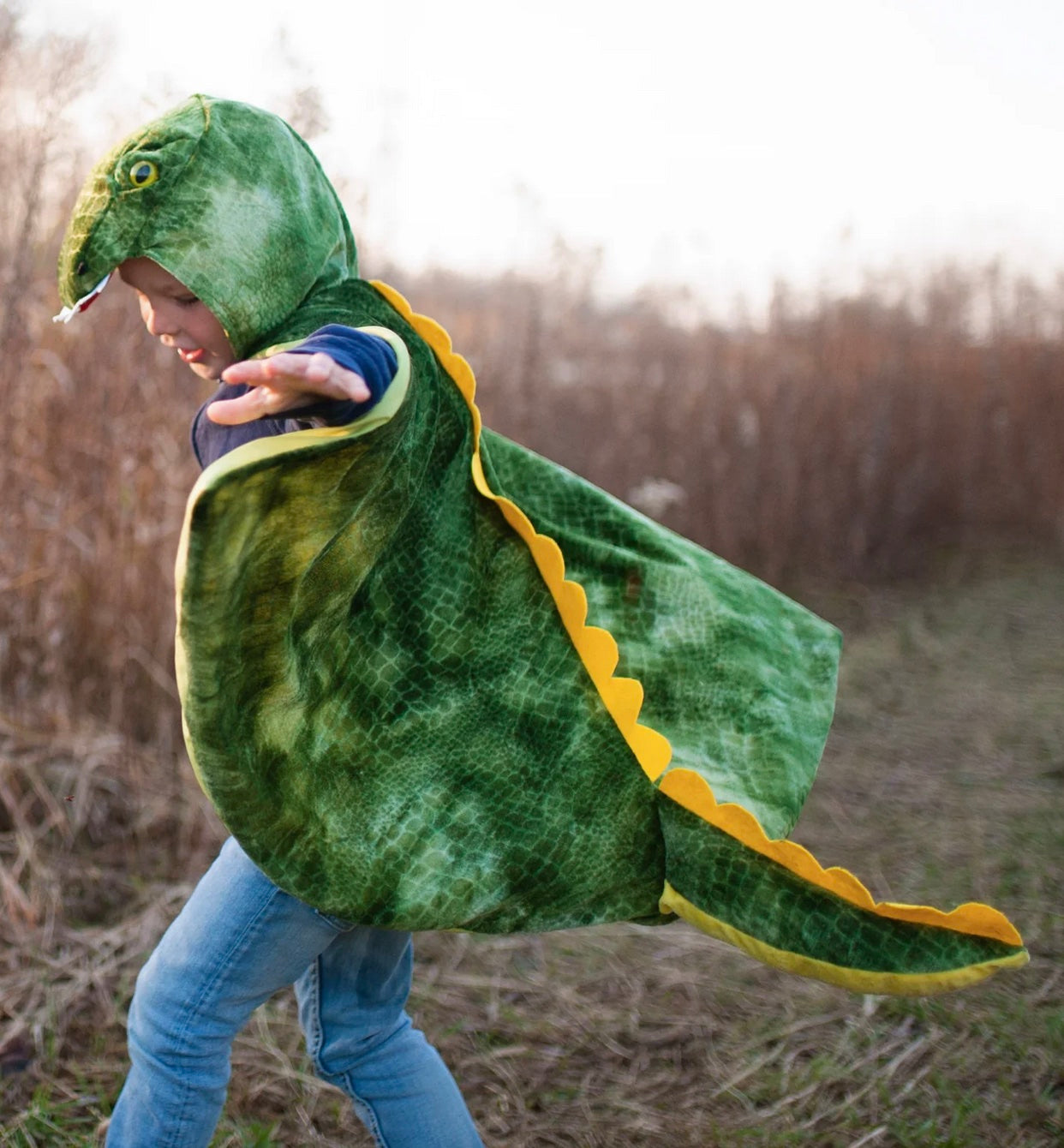 T-Rex Hooded Dinosaur Cape, Size 4/6