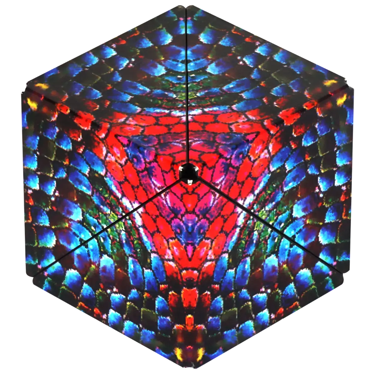 Shashibo Magnetic Puzzle