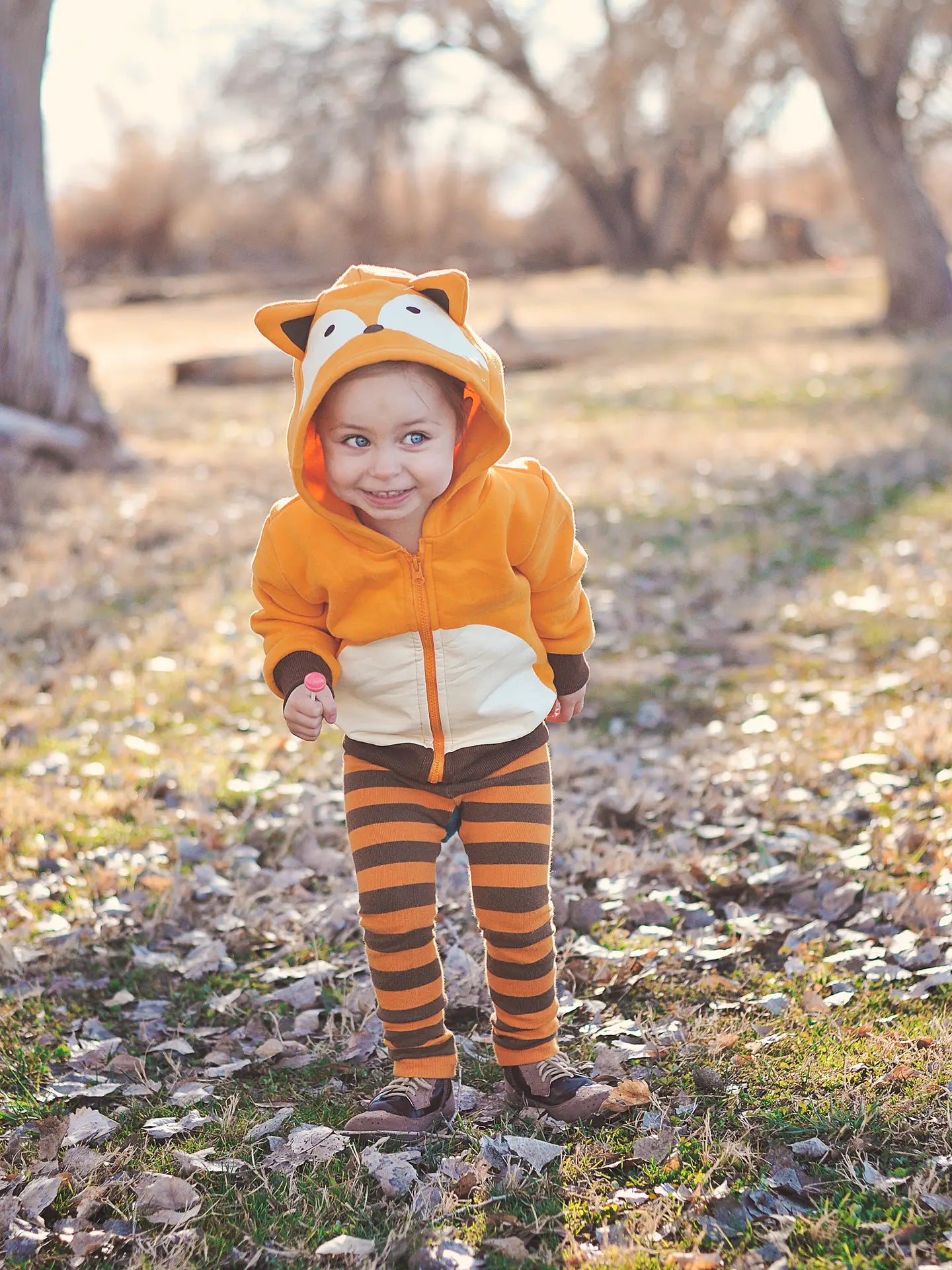 Woodland Fox Toddler and Kids 3D Hoodie