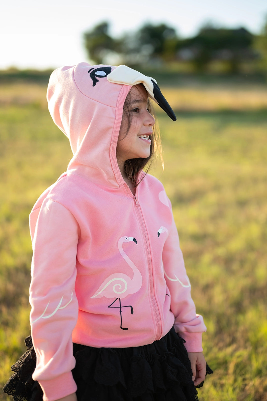 Flamingo 3D Hoodie