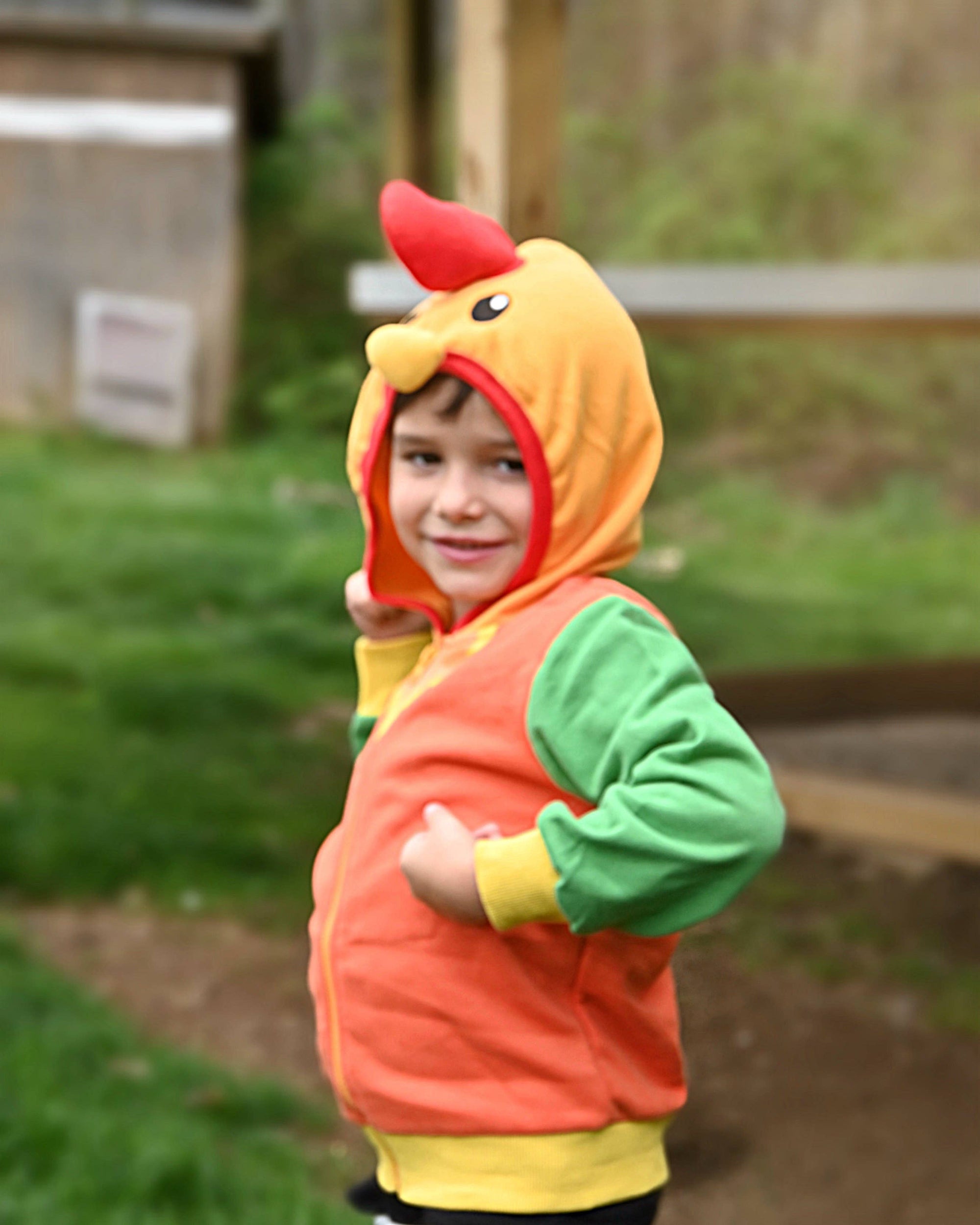 Rocket the Rooster 3D Hoodie