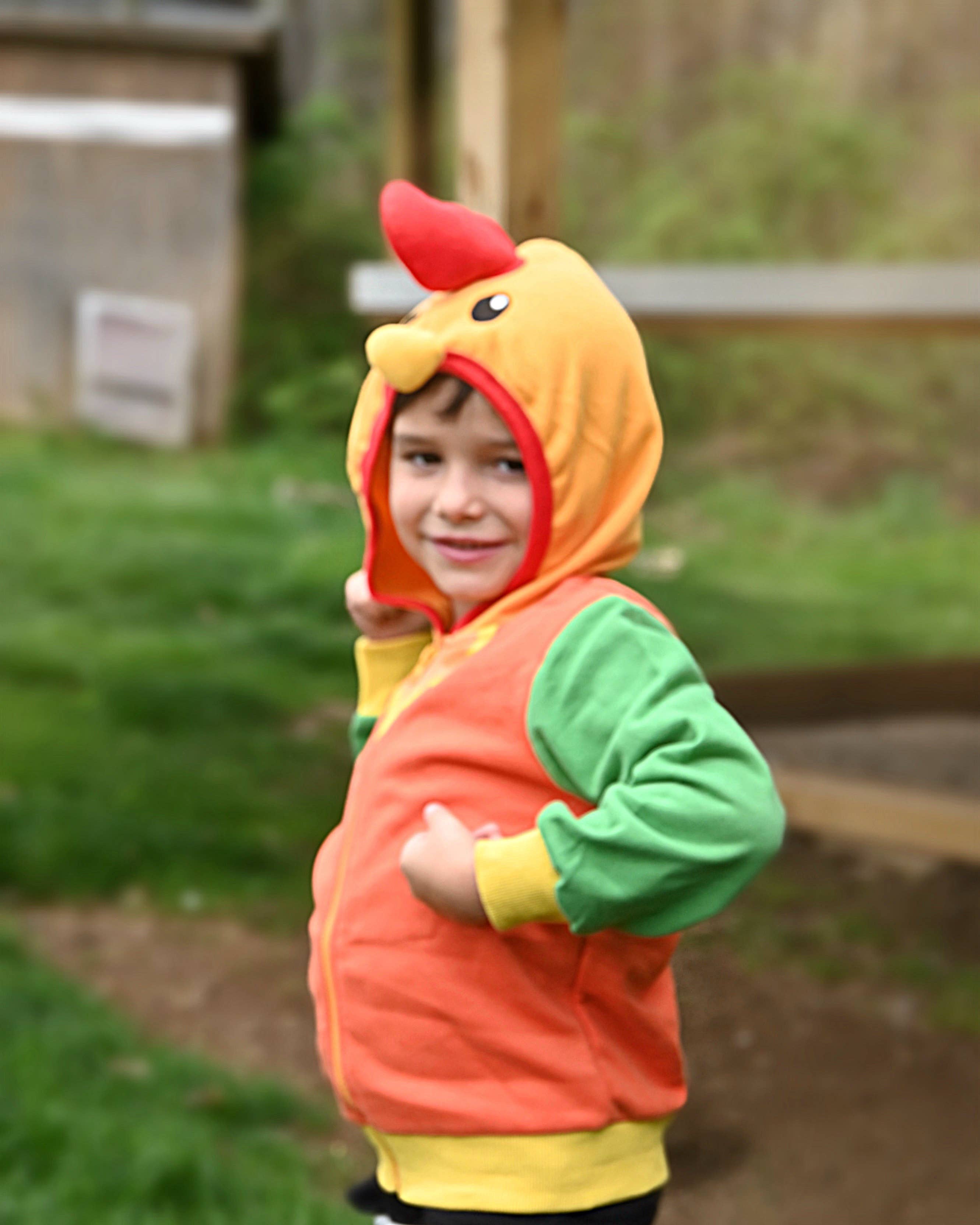 Rocket the Rooster 3D Hoodie