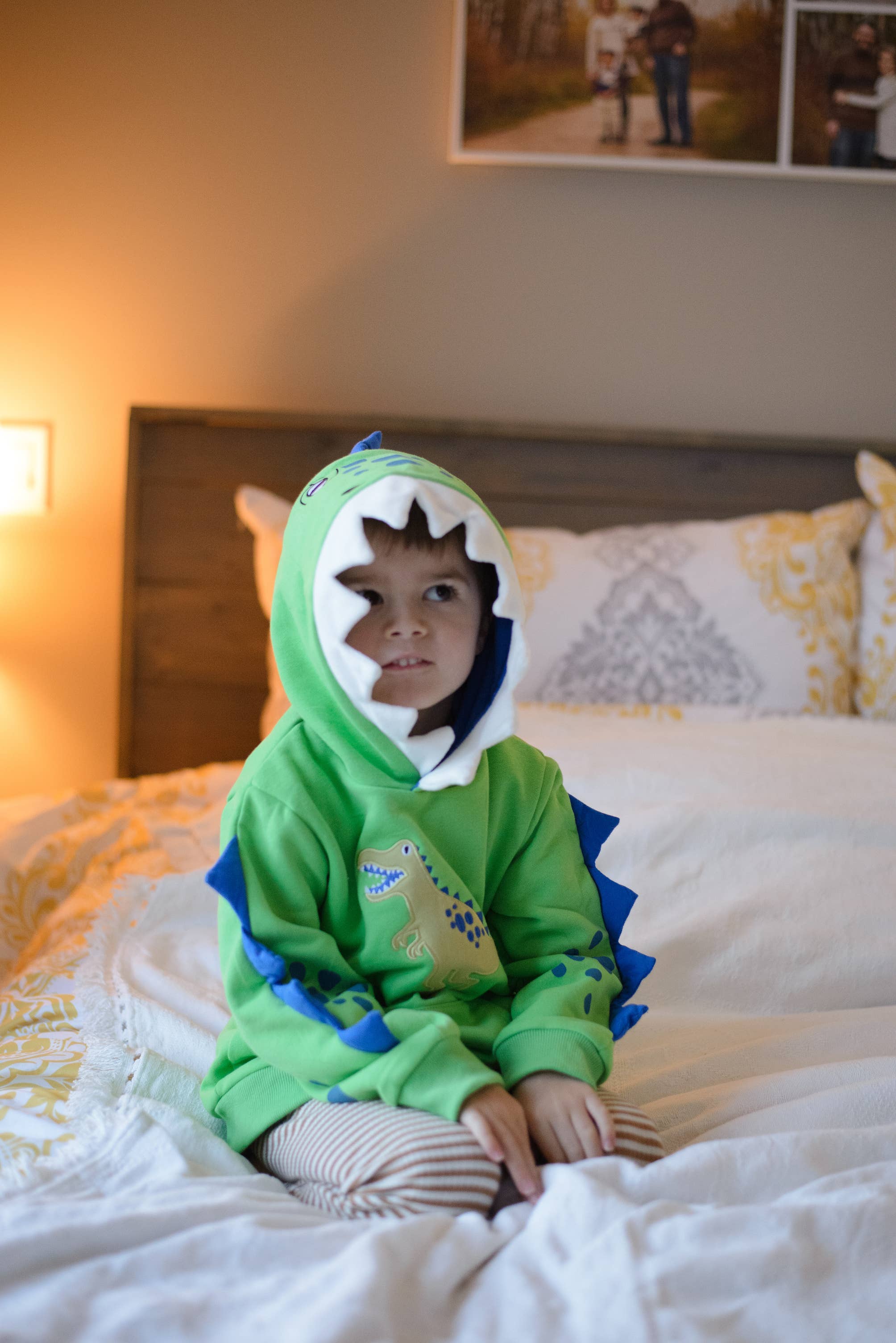 Spiky Dino 3D Hoodie