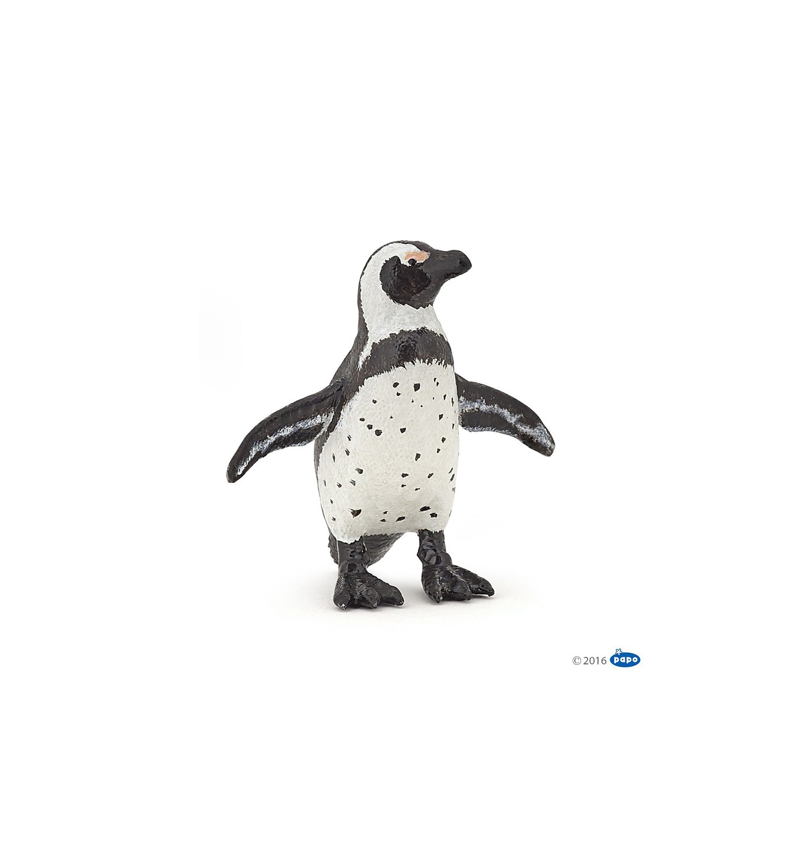 PAPO - African Penguin