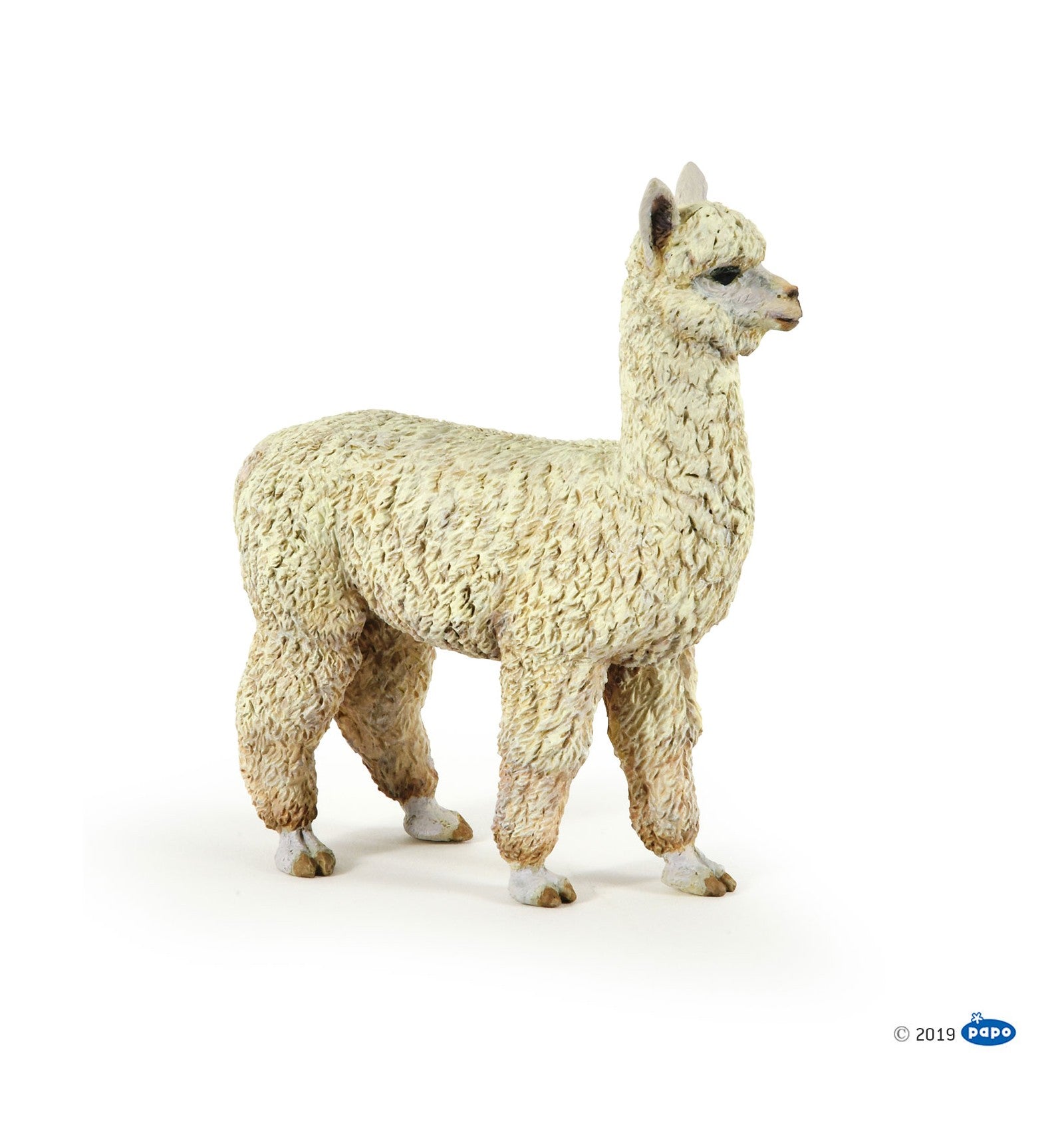 PAPO - Alpaca