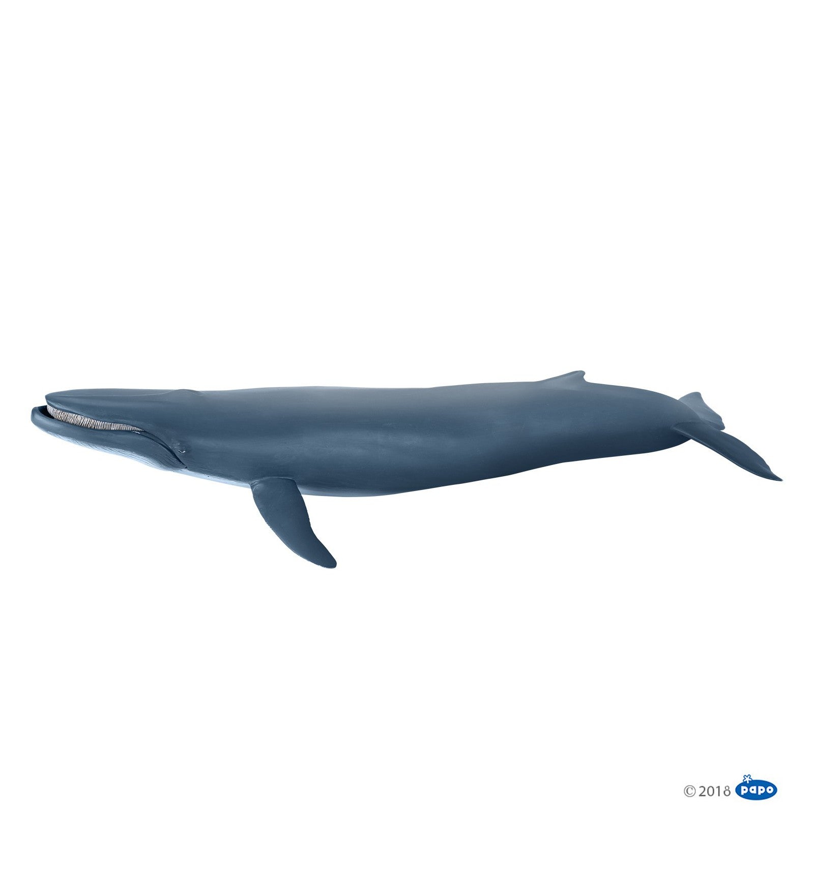 PAPO - Blue Whale