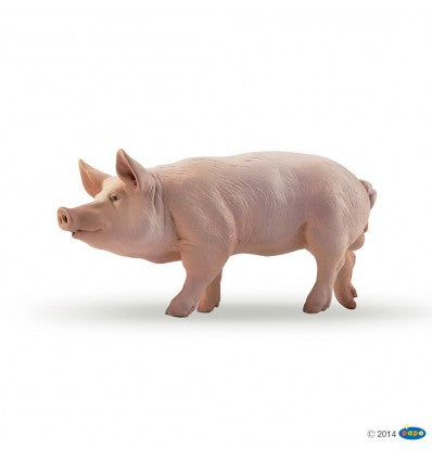 PAPO - Boar