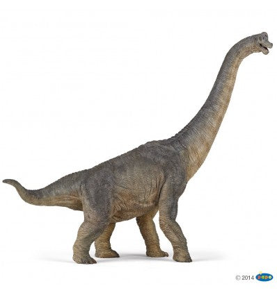 PAPO - Brachiosaurus