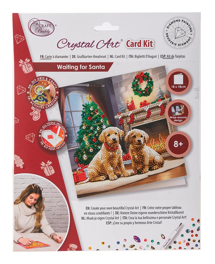 Crystal Art Card Kit - Waiting For Santa