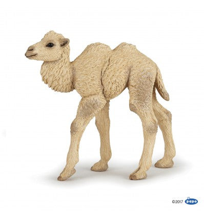 PAPO - Camel Calf