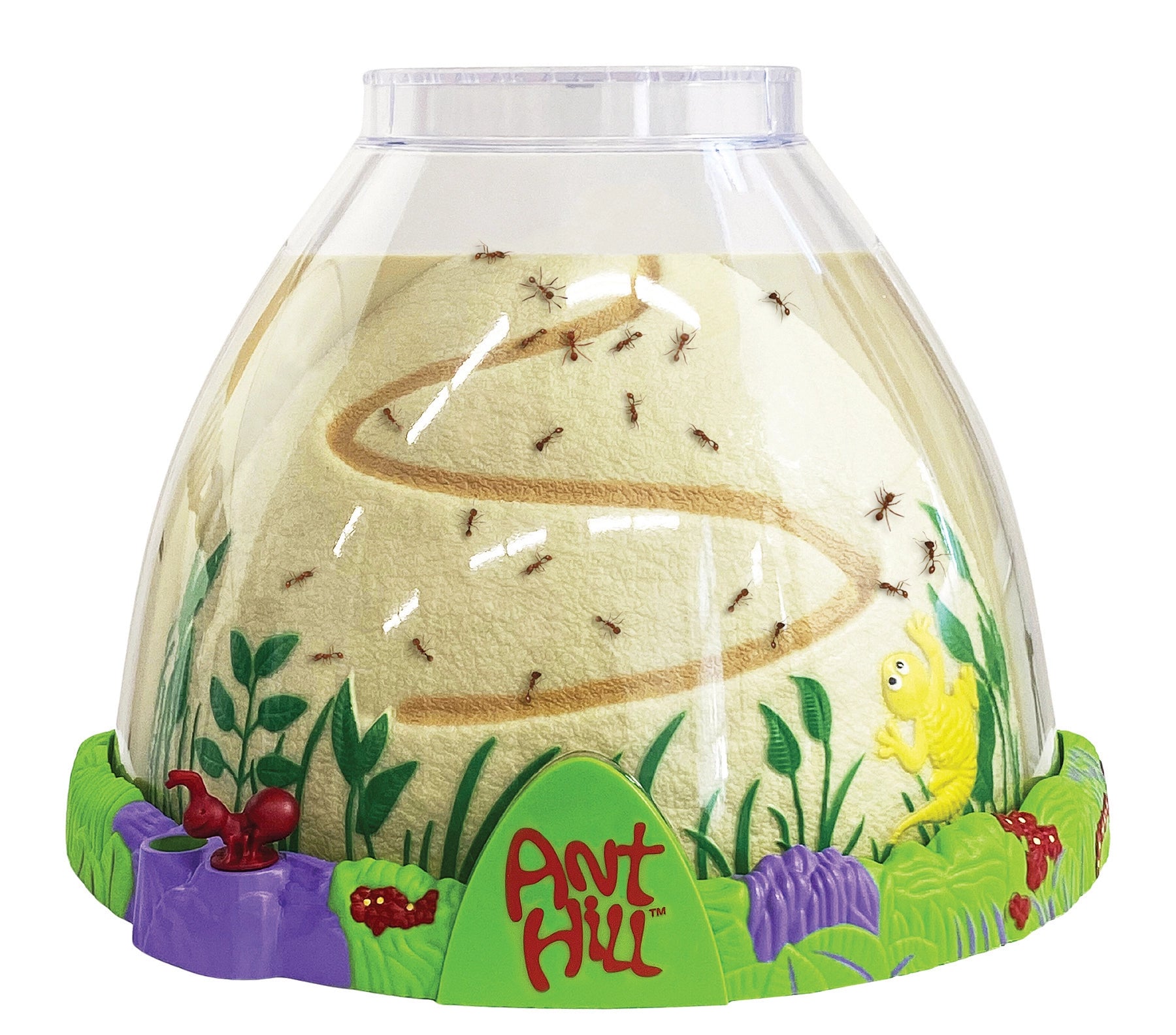 Ant Hill with Voucher