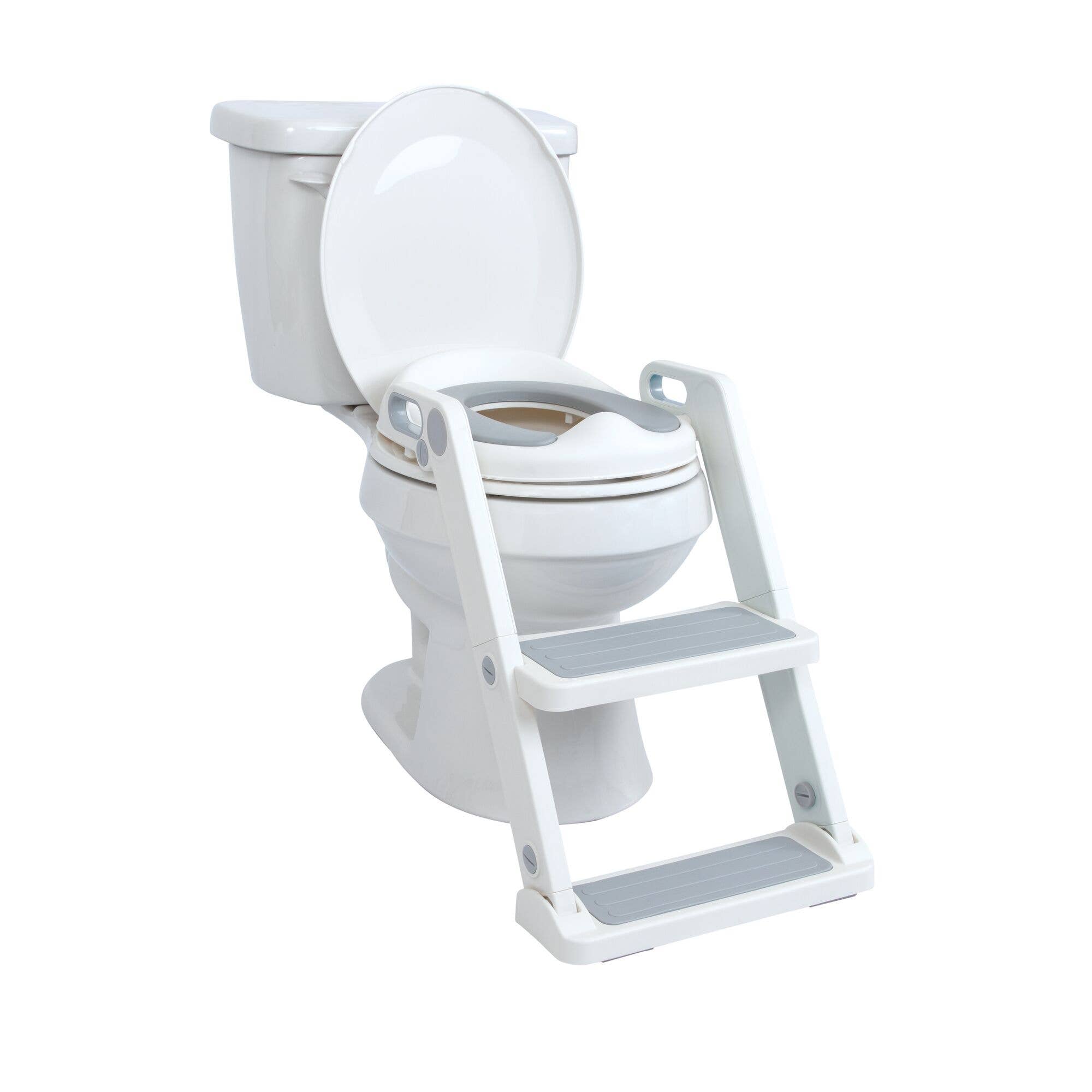 Step Ladder Potty Seat